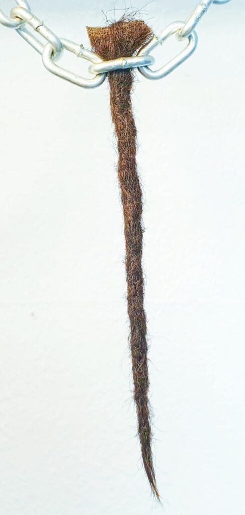 intermatting result for thinning hair specialist dreadlock method