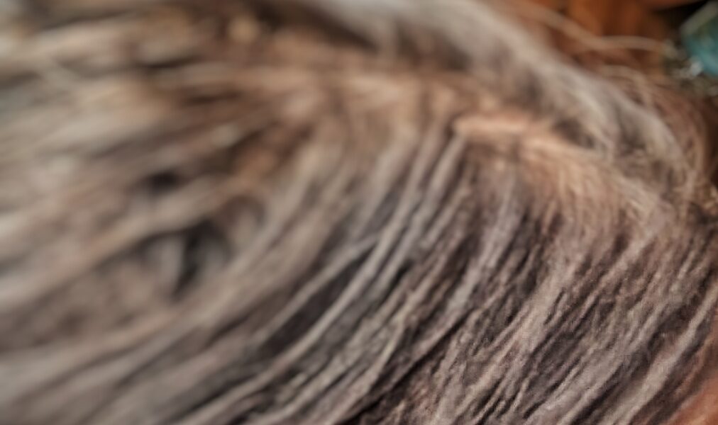 Permanent dreadlock extensions for thinning hair showing finished length and fullness