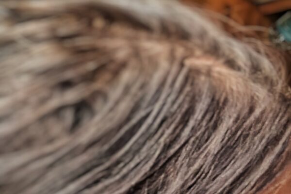 Permanent dreadlock extensions for thinning hair showing finished length and fullness