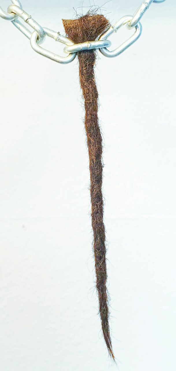 blog-38-dreadlock-extensions-finished-result.jpg.jpeg precision sectioning and structure for permanent dreadlock extensions