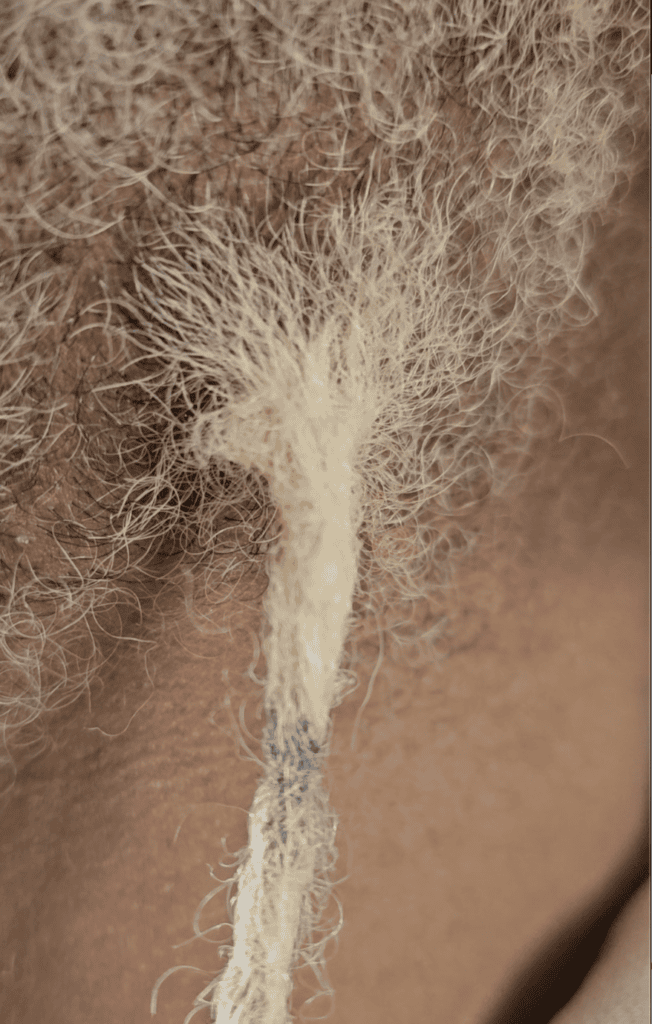Finished dreadlock reconstruction with consistent roots and repaired structure