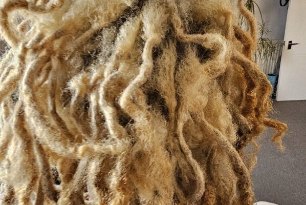 Dreadlock repair cost UK assessment for grown-out and damaged locs