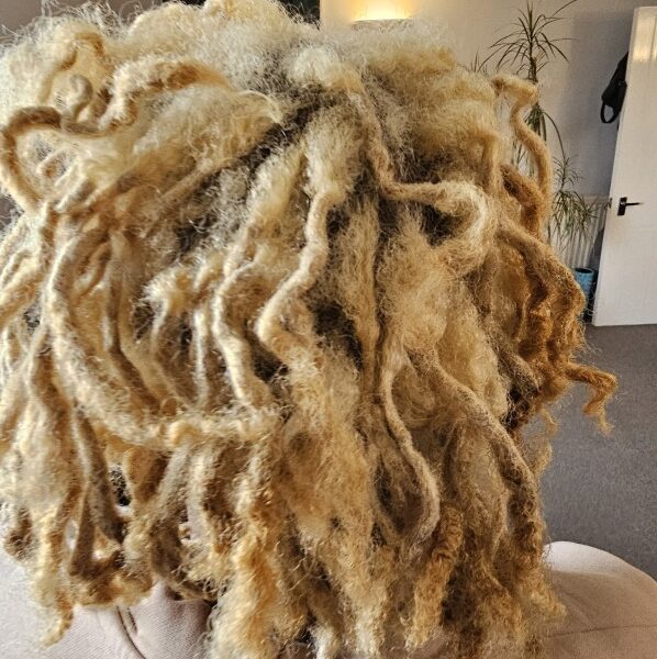 Dreadlock repair cost UK assessment for grown-out and damaged locs