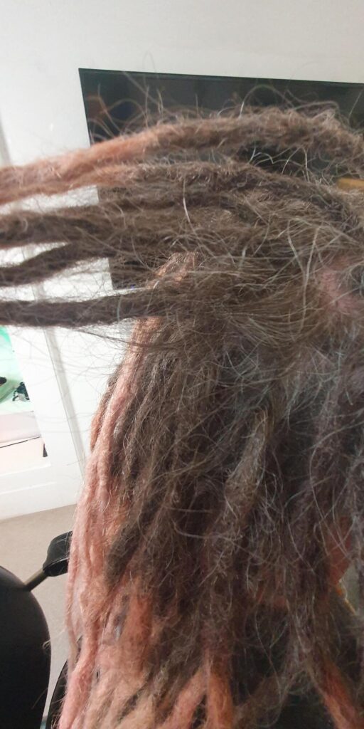 Permanent dreadlock extension roots ready for planned maintenance