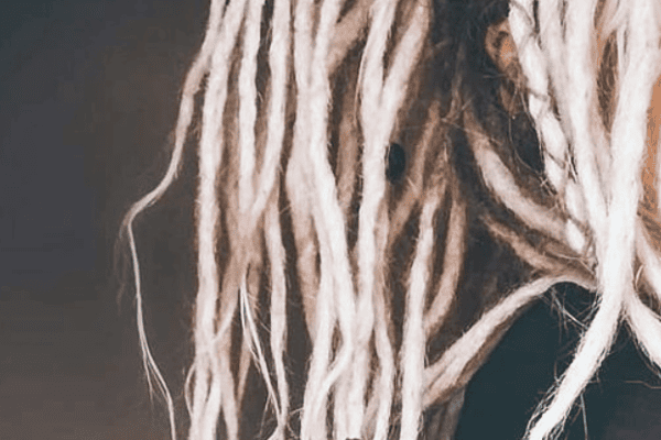 Dreadlock extensions for thinning hair creating a fuller finished result