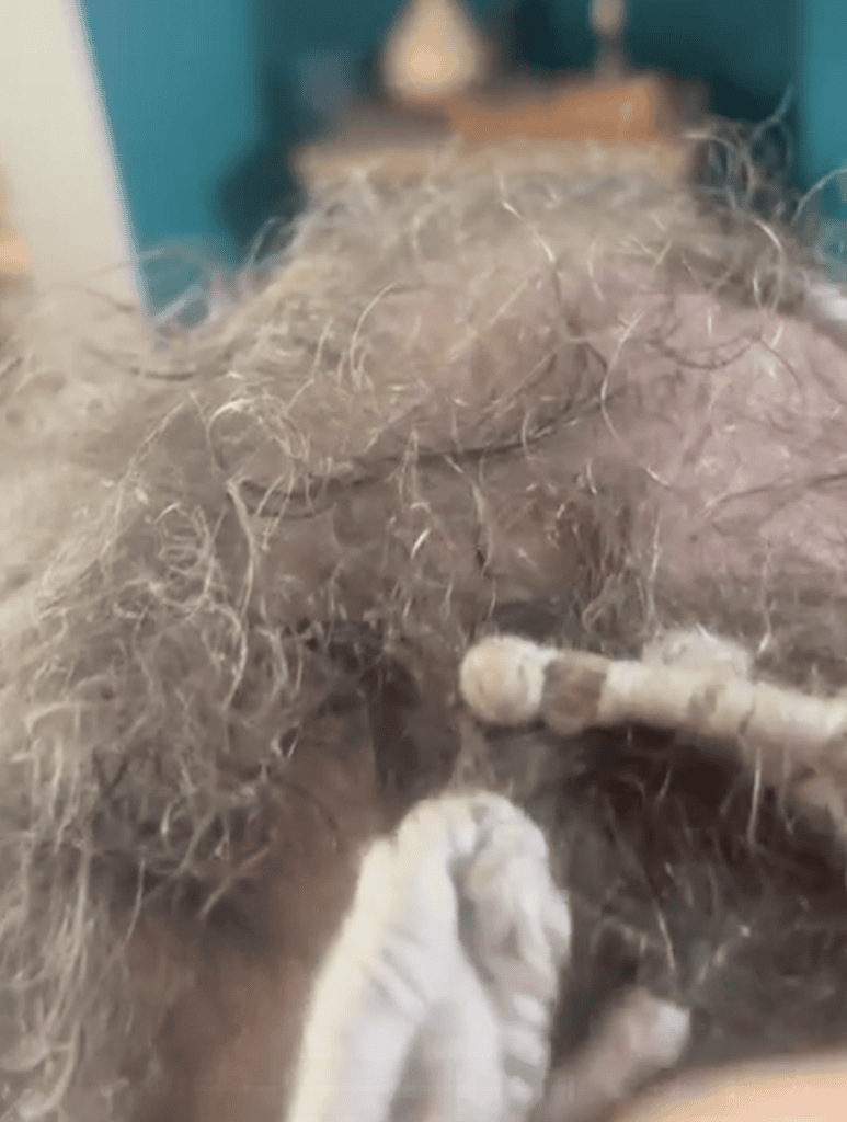 blog-59-permanent-dreadlock-extension-before-after Permanent dreadlock extension before and after showing a bespoke full-head transformation