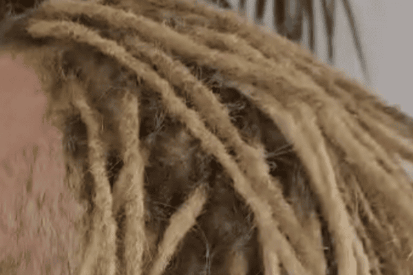 Permanent dreadlock extensions for fine thinning hair - Dreadlocks by KNOT