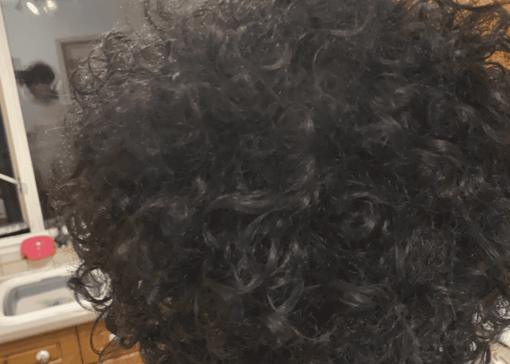 blog-61-existing-locs-extension-assessment Existing locs assessed before permanent dreadlock extension planning.